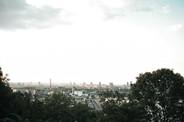 Explore the UK's Top Coastal Trails for Unforgettable Seal and Seabird Sightings