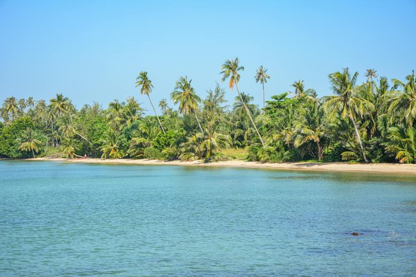 Ultimate Handbook for Eco-Friendly Camping Near the UK's Wildlife Sanctuaries